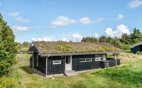 Anthonia - 1.6Km from the Sea: Pflanzengemeinschaft, Sonnenlicht, Krautige Pflanze, Garten, Plantage, Landwirtschaft, Bauernhof