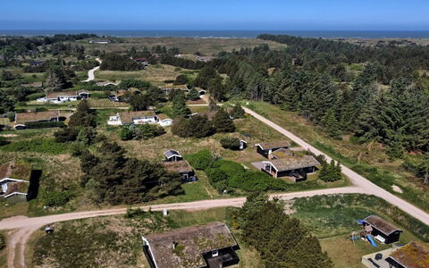 Anthonia - 1.6Km from the Sea: Pflanzengemeinschaft, Sonnenlicht, Krautige Pflanze, Garten, Plantage, Landwirtschaft, Bauernhof