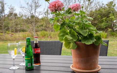 Birette - 1.5Km from the Sea: Blumentopf, Garten, Zimmerpflanze, Kraut, Vase
