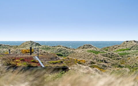 Ehawee - 350M from the Sea: Dach, Grundstueck, Hütte, Zuhause, Ländliches Gebiet, Schuppen, Abstellgleis, Gartenbauten, Blockhaus, Hütte