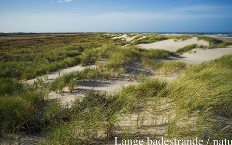 Elle - 50M from the Sea: Dach, Haus, Grundstueck, Zuhause, Hütte, Estate, Gartenbauten, Schatten, Blockhaus, Landscaping