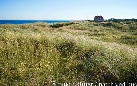 Elle - 50M from the Sea: Dach, Haus, Grundstueck, Zuhause, Hütte, Estate, Gartenbauten, Schatten, Blockhaus, Landscaping