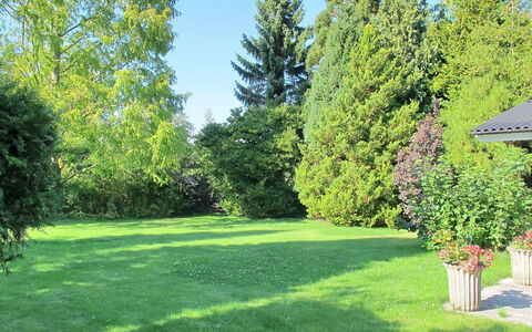 Claudette - 1Km from the Sea: Baum, Grün, Gras, Blatt, Strauch, Garten, Rasen, Grundstueck, Ground