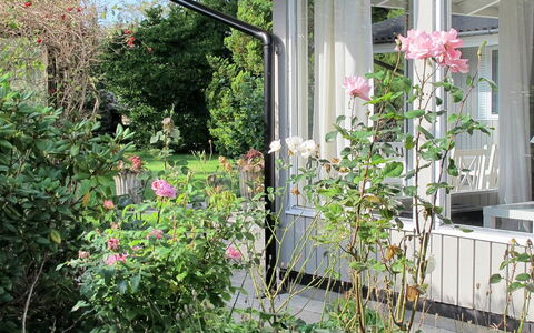 Claudette - 1Km from the Sea: Blume, Strauch, Rosa, Garten, Blütenblatt, Pflanzengemeinschaft, Gartenrosen, Frühling, Blühende Pflanze