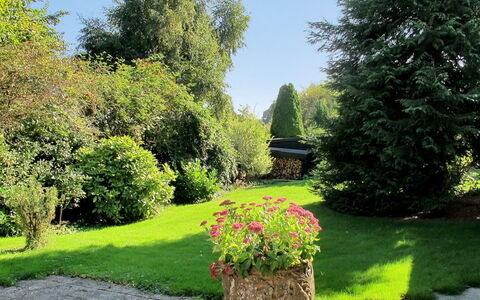 Claudette - 1Km from the Sea: Grün, Blatt, Gras, Garten, Vegetation, Strauch, Landschaft, Pflanzengemeinschaft, Rasen