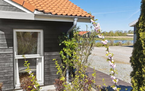 Florentin - 1Km from the Sea: Dach, Grundstueck, Hütte, Zuhause, Ländliches Gebiet, Schuppen, Abstellgleis, Gartenbauten, Blockhaus, Hütte