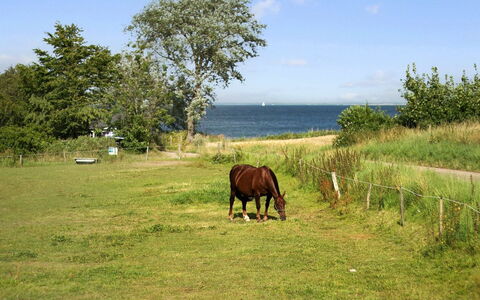 Ady - 150M from the Sea: Dach, Haus, Grundstueck, Zuhause, Hütte, Estate, Gartenbauten, Schatten, Blockhaus, Landscaping