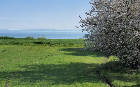 Ady - 150M from the Sea: Dach, Haus, Grundstueck, Zuhause, Hütte, Estate, Gartenbauten, Schatten, Blockhaus, Landscaping