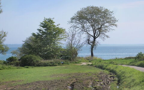 Ady - 150M from the Sea: Dach, Haus, Grundstueck, Zuhause, Hütte, Estate, Gartenbauten, Schatten, Blockhaus, Landscaping