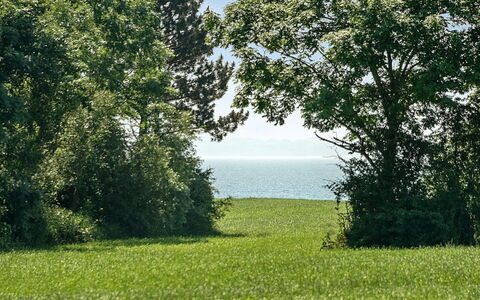 Ilja - 400M from the Sea: Blau, Grün, Daytime, Blatt, Gras, Natürlichen Umgebung, Natur, Vegetation, Wiese, Natürliche Landschaft