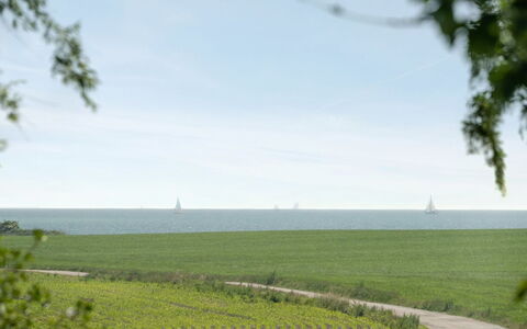 Ilja - 400M from the Sea: Blau, Daytime, Gras, Horizont, Natürliche Landschaft, Ökoregion, Einfach, Grundstueck, Wolke