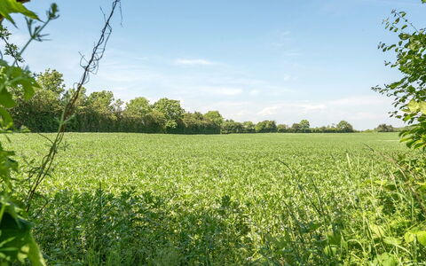 Ilja - 400M from the Sea: Grün, Landwirtschaft, Feld, Wiese, Sommer, Einfach, Grundstueck, Plantage, Ländliches Gebiet