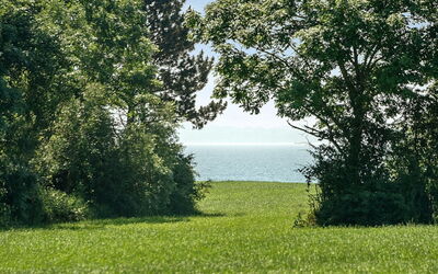 Ilja - 400M from the Sea