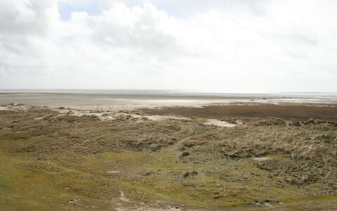 Anette - 50M from the Sea: Strauch, Urban Design, Ground, Backstein, Wohnung, Estate, Mauerwerk, Balkon, Landscaping