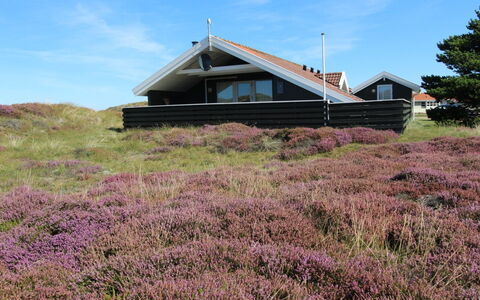 Lilja - 1.5Km from the Sea: Hütte