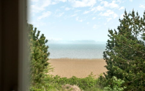 Solvey - 2Km from the Sea: Wohngebiet, Strauch, Haus, Zuhause, Garten, Estate, Schatten, Landscaping, Rasen