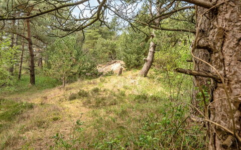 Solvey - 2Km from the Sea: Wohngebiet, Strauch, Haus, Zuhause, Garten, Estate, Schatten, Landscaping, Rasen
