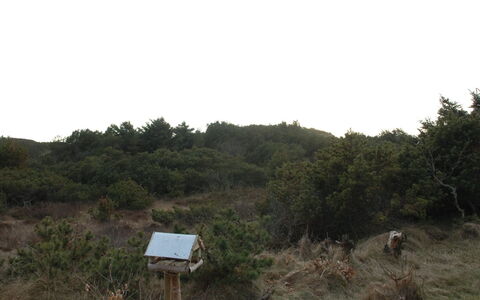 Annita - 300M from the Sea: 