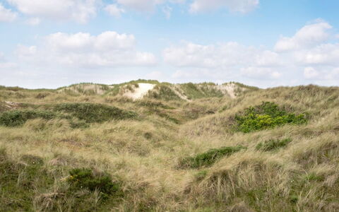 Thrond - 200M from the Sea: Haus, Zuhause, Dach, Wohngebiet, Hütte, Estate, Bauernhaus, Rasen, Landscaping, Abstellgleis