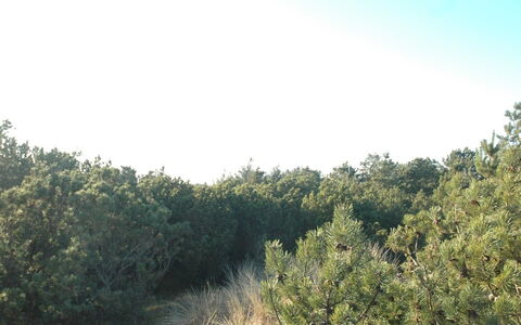 Jon - 400M from the Sea: 