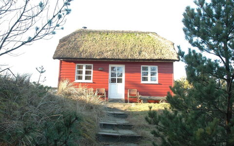 Jon - 400M from the Sea: Dach, Grundstueck, Hütte, Zuhause, Ländliches Gebiet, Schuppen, Abstellgleis, Gartenbauten, Blockhaus, Hütte