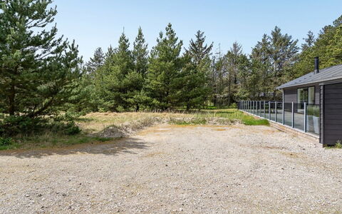 Arnetta - 1.5Km from the Sea: Pflanzengemeinschaft, Sonnenlicht, Krautige Pflanze, Garten, Plantage, Landwirtschaft, Bauernhof