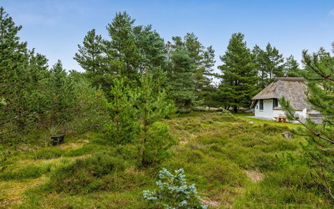 Lilo - 1Km from the Sea: Hütte, Schuppen, Hütte, Bauernhaus, Prärie, Hütte, Scheune, Blockhaus, Gartenbauten