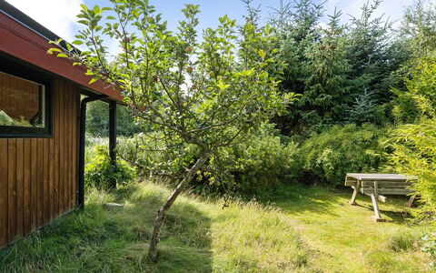Sune - 500M from the Sea: Dach, Haus, Zuhause, Hütte, Abstellgleis, Estate, Auffahrt, Gartenbauten, Garten, Schuppen
