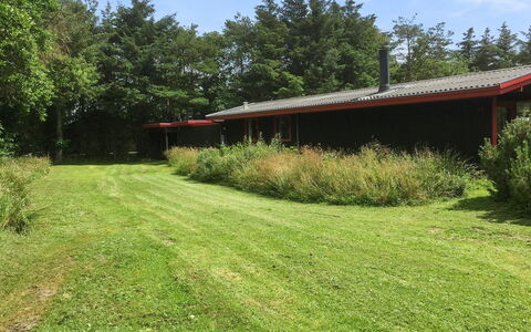 Stillfriede - 400M from the Sea: Gras, Haus, Dach, Zuhause, Hütte, Strauch, Grundstueck, Ländliches Gebiet, Bauernhaus, Ground