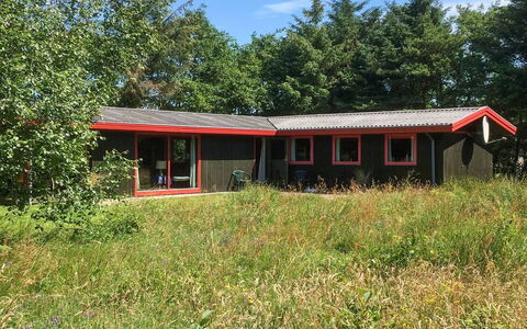 Stillfriede - 400M from the Sea: Gras, Haus, Dach, Zuhause, Hütte, Strauch, Grundstueck, Ländliches Gebiet, Bauernhaus, Ground
