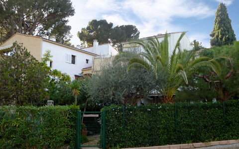 Saint Cyr sur Mer les Lecques 120: Himmel, Wolke, Pflanze, Gebäude, Fenster, Baum, Haus, Grundstueck, Arecales, Gras