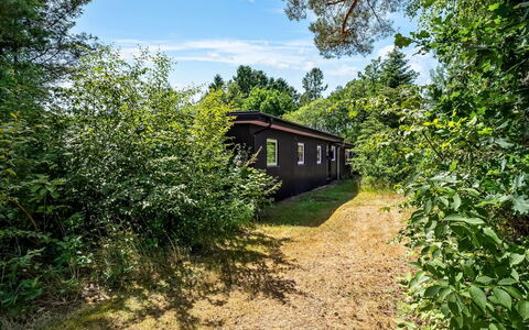 Fot - 7Km from the Sea: Vegetation, Strauch, Landschaft, Pflanzengemeinschaft, Grundstueck, Ländliches Gebiet, Garten, Hütte, Gartenbauten
