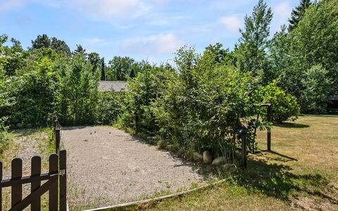 Fot - 7Km from the Sea: Strauch, Garten, Zaun, Schatten, Gehölz, Rasen, Home Fechten, Landscaping, Hinterhof, Garten