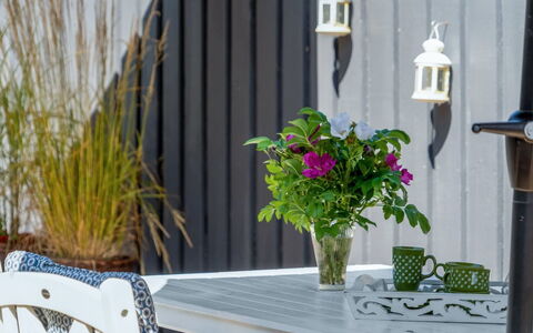 Felizia - 2.5Km from the Sea: Blumentopf, Zimmerpflanze, Garten, Floristik, Vase, Gartenmöbel, Stuhl, Farbe, Blumendesign