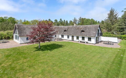 Iben - 2.3Km from the Sea: Pflanzengemeinschaft, Sonnenlicht, Krautige Pflanze, Garten, Plantage, Landwirtschaft, Bauernhof