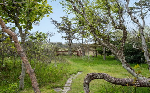 Helny - 300M from the Sea: Ast, Blatt, Baum, Gras, Natur, Natürlichen Umgebung, Vegetation, Natürliche Landschaft, Wiese