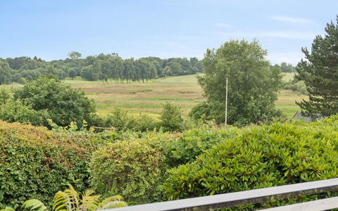 Ylermi - 1.5Km from the Sea: Himmel, Grün, Vegetation, Wolke, Strauch, Wiese, Pflanzengemeinschaft, Einfach, Kumulus, Plantage