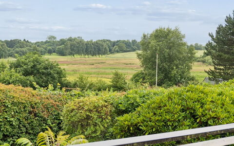 Ylermi - 1.5Km from the Sea: Himmel, Grün, Vegetation, Wolke, Strauch, Wiese, Pflanzengemeinschaft, Grundstueck, Einfach, Kumulus