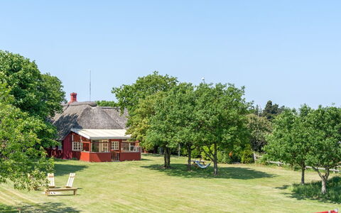 Edelgard - 4.5Km from the Sea: Baum, Gras, Einfach, Landschaft, Wiese, Ländliches Gebiet, Grundstueck, Rasen, Hütte