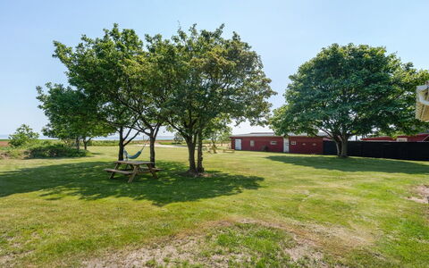 Edelgard - 4.5Km from the Sea: Himmel, Baum, Gras, Einfach, Grundstueck, Rasen, Schatten, Garten, Wiese, Park