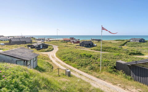 Heidine - 176M from the Sea: Pflanzengemeinschaft, Sonnenlicht, Krautige Pflanze, Garten, Plantage, Landwirtschaft, Bauernhof