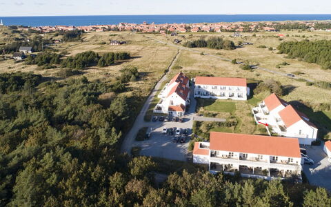 Thorgrim - 800M from the Sea: Pflanzengemeinschaft, Sonnenlicht, Krautige Pflanze, Garten, Plantage, Landwirtschaft, Bauernhof