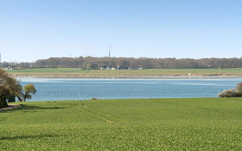 Ermelinda - 900M to the Fjord: Dach, Haus, Zuhause, Hütte, Abstellgleis, Estate, Auffahrt, Gartenbauten, Garten, Schuppen