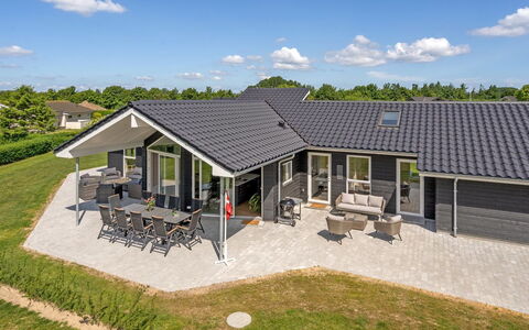 Elsebet - 600M from the Sea: Pflanzengemeinschaft, Sonnenlicht, Krautige Pflanze, Garten, Plantage, Landwirtschaft, Bauernhof