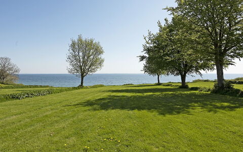 Helena - 250M from the Sea: Blau, Grün, Gras, Wiese, Natürliche Landschaft, Horizont, Ökoregion, Landschaft, Einfach, Grundstueck