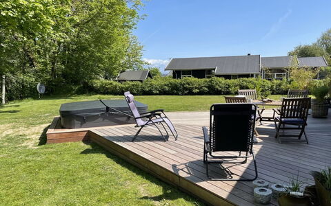 Helena - 250M from the Sea: Pflanzengemeinschaft, Sonnenlicht, Krautige Pflanze, Garten, Plantage, Landwirtschaft, Bauernhof