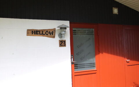 Thorwer - 250M from the Sea: Pflanzengemeinschaft, Sonnenlicht, Krautige Pflanze, Garten, Plantage, Landwirtschaft, Bauernhof