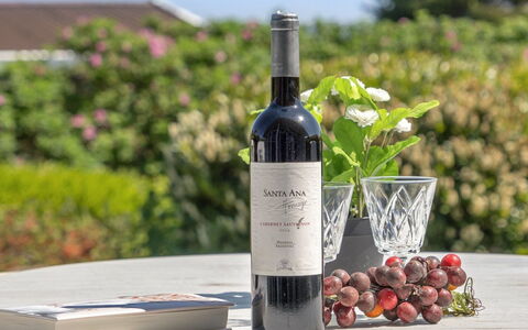 Jarmericus - 300M from the Sea: Flasche, Weinflasche, Glasflasche, Wein, Rotwein, Barware