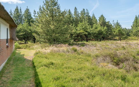 Hakun - 4Km from the Sea: Baum, Gras, Vegetation, Strauch, Wiese, Grundstueck, Pflanzengemeinschaft, Einfach, Ground