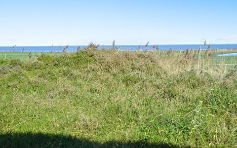 Asfrid - 3.5Km from the Sea: Blau, Himmel, Grün, Gras, Wiese, Vegetation, Sommer, Ökoregion, Pflanzengemeinschaft, Grundstueck